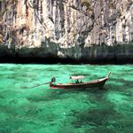 Phi Phi coral