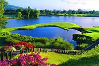 Golf sport clubs