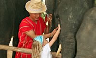safari experience service